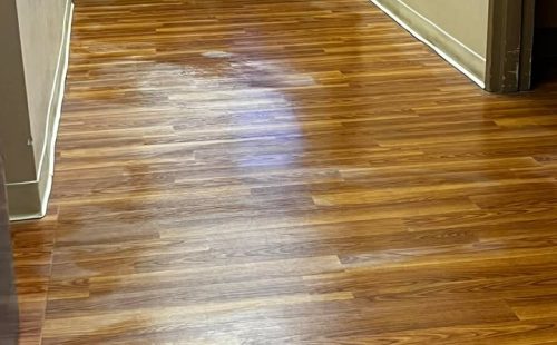 658905767_952446887188258_3793645668563329792_n